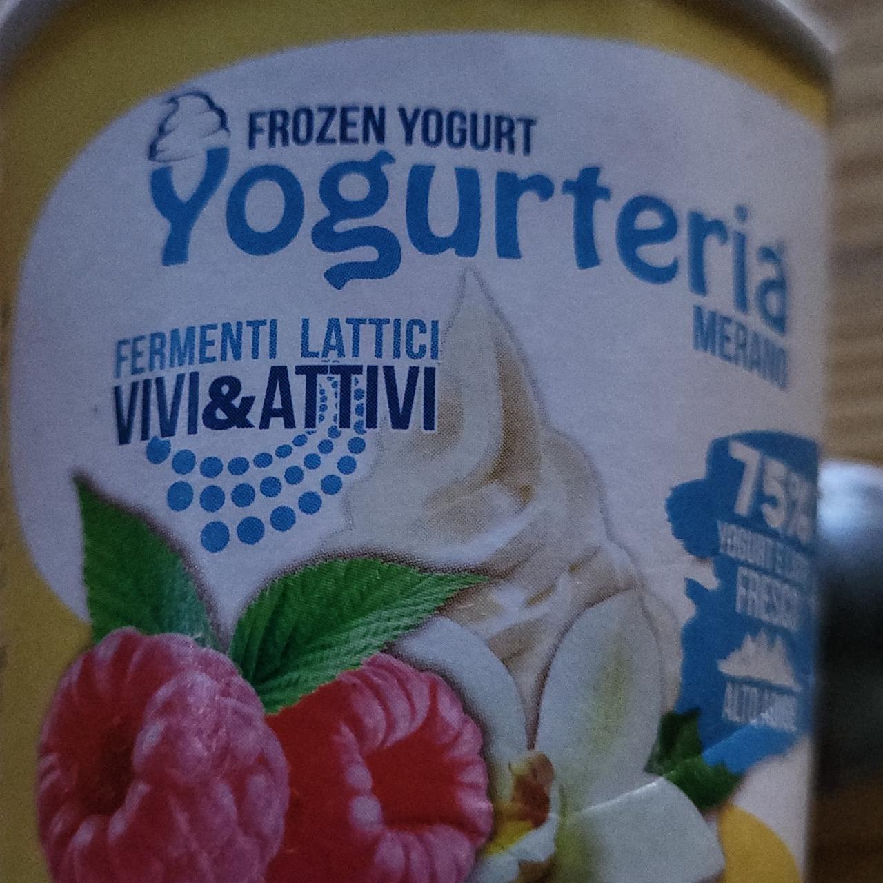 Fotografie - yogurteria Merano