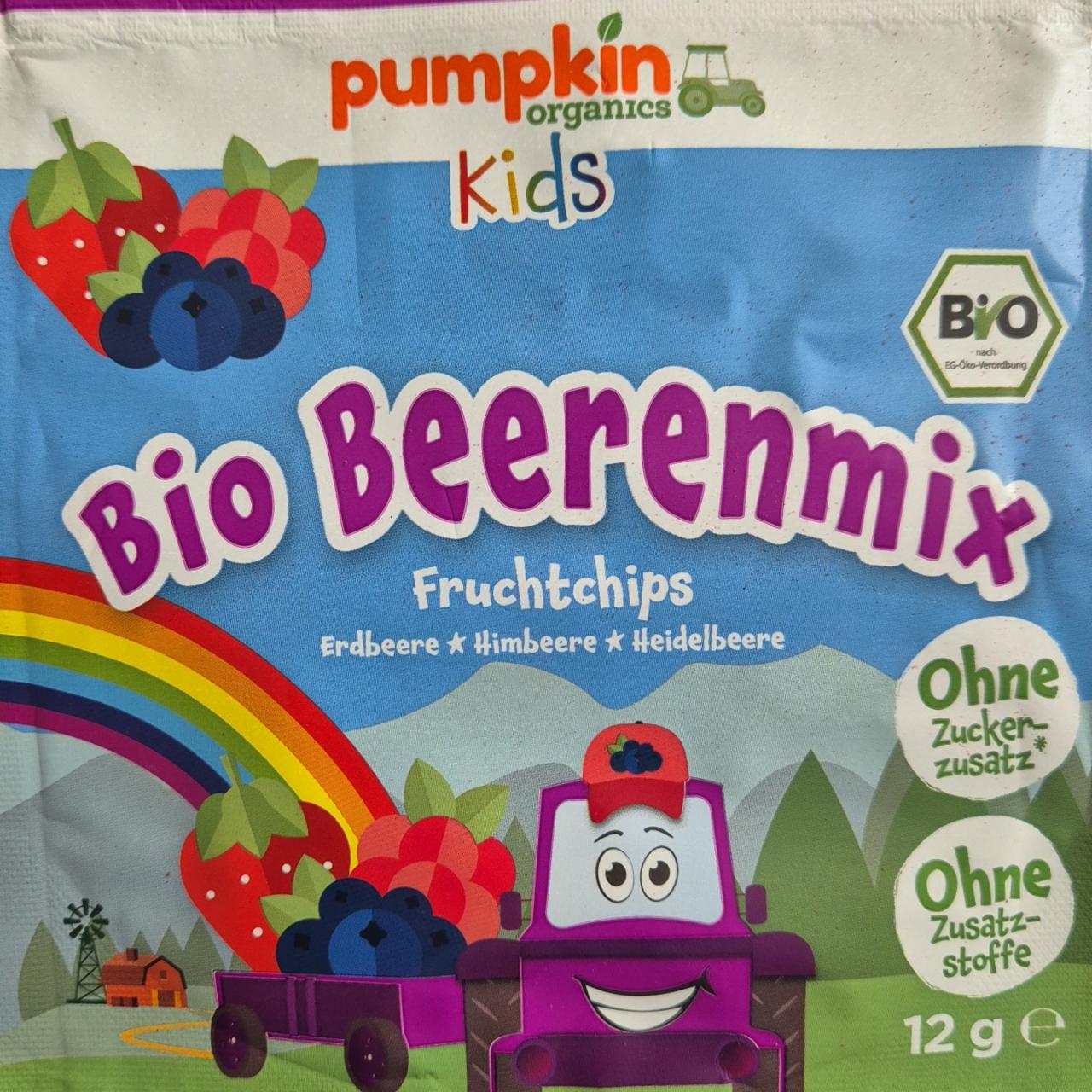 Fotografie - Bio Beerenmix Fruchtchips Pumpkin Organics Kids