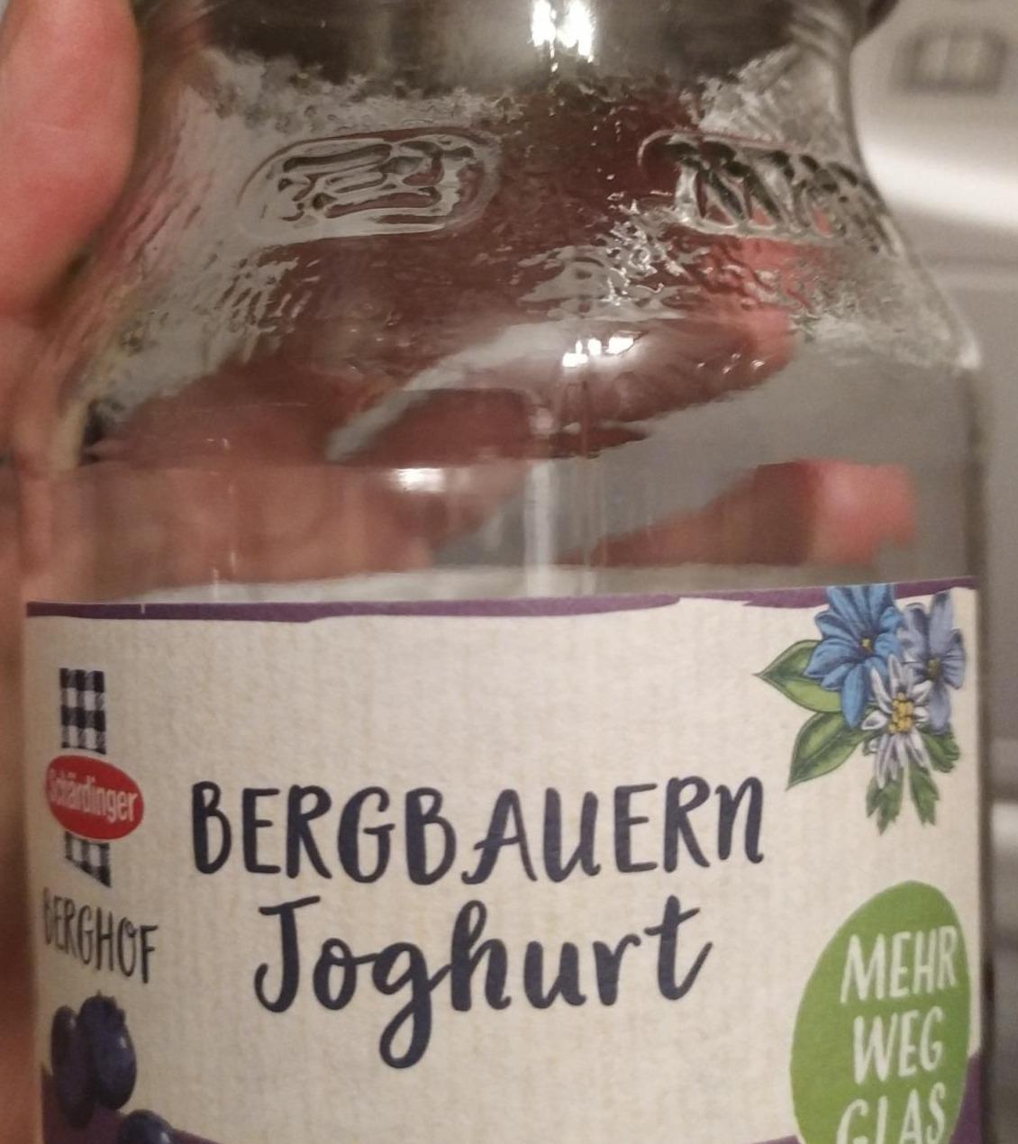 Fotografie - Bergbauern joghurt Heidelbeer Schärdinger