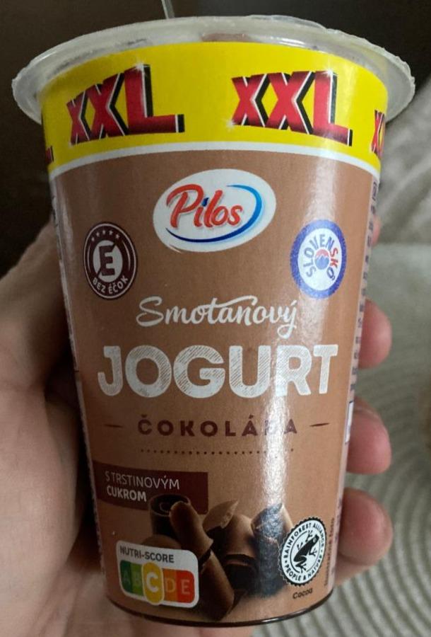 Fotografie - Smotanový jogurt čokoláda s trstinovým cukrom Pilos