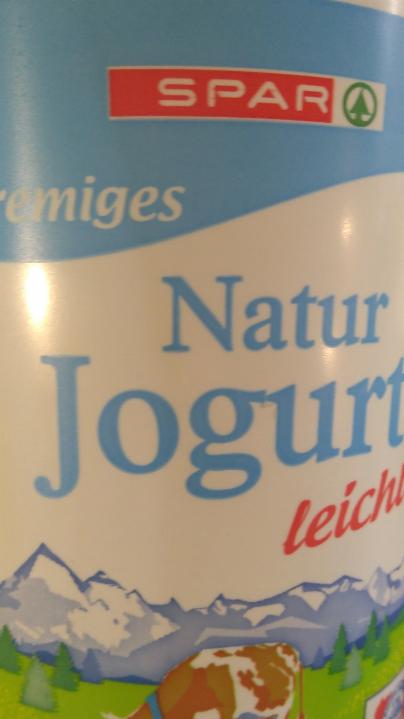 Fotografie - Natur Jogurt leicht