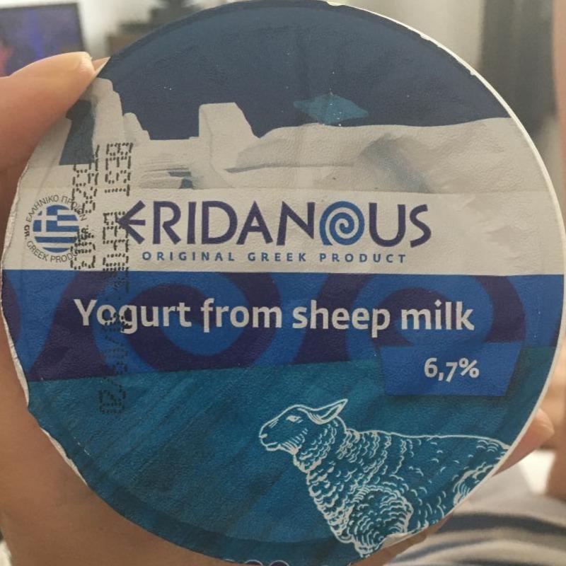 Fotografie - Yogurt from sheep milk Eridanous