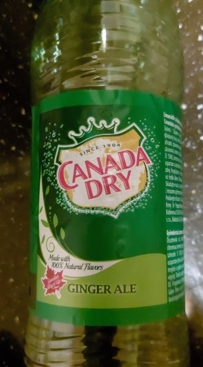 Fotografie - Ginger Ale Canada Dry