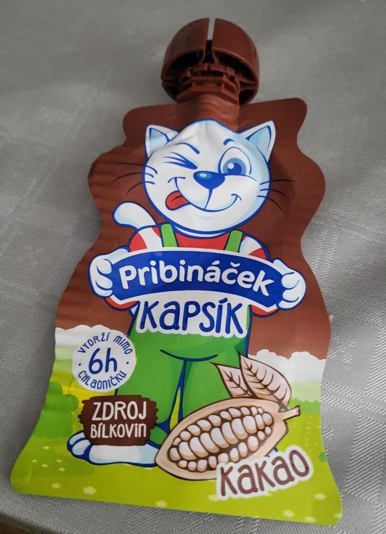 Fotografie - pribináček kapsík