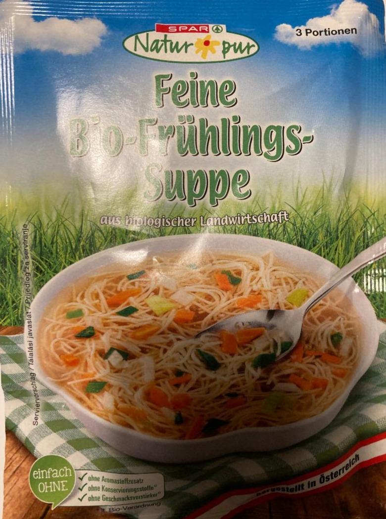Fotografie - Feine Bio-Frühlings-Suppe Spar Natur pur