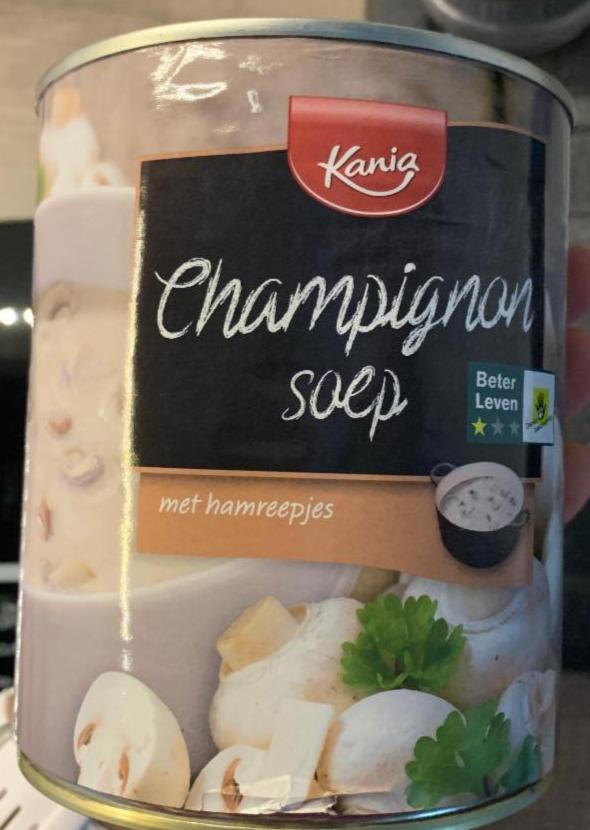 Fotografie - champignon soep Kania
