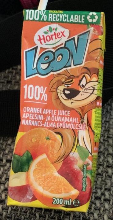 Fotografie - Leon 100% orange apple juice Hortex