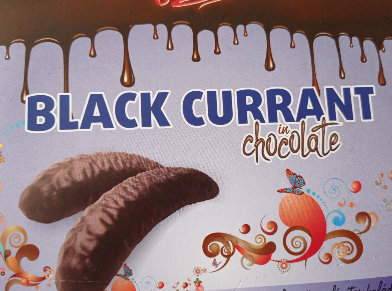 Fotografie - Black Currant in Chocolate