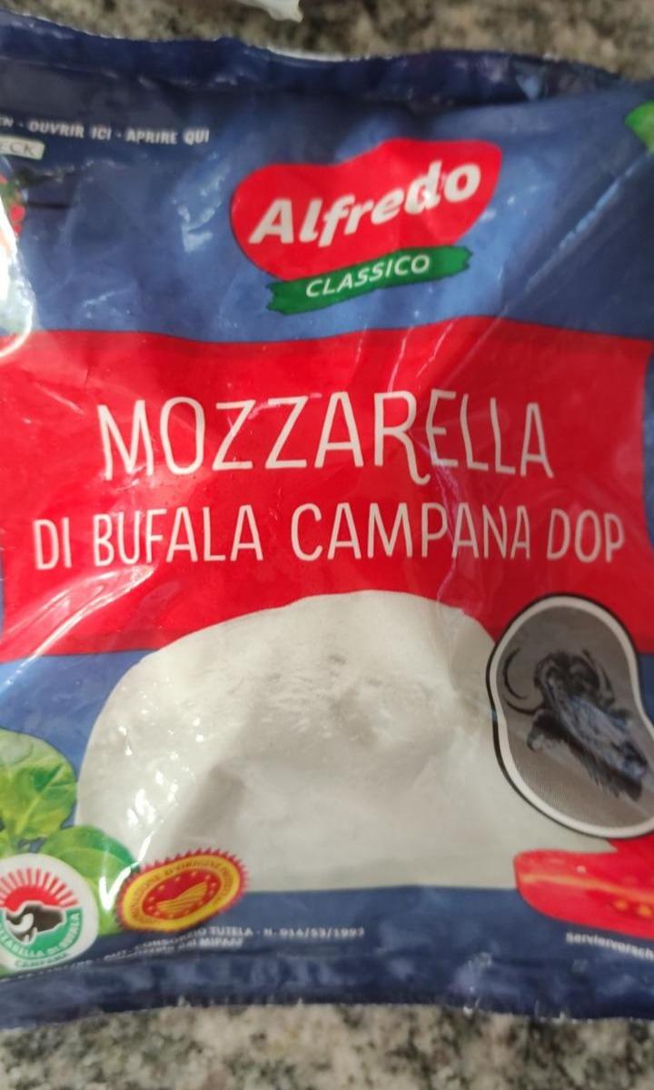 Fotografie - Mozzarella di Bufala campana DOP Alfredo Classico
