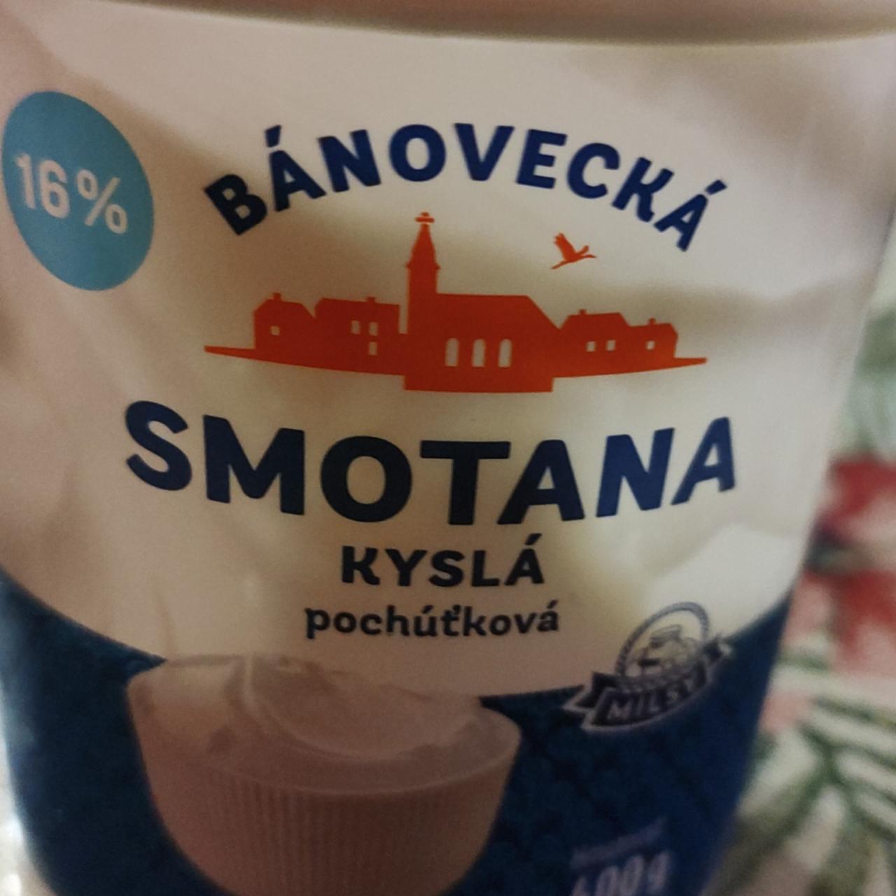 Fotografie - Bánovecká Smotana kyslá pochúťková 16% Milsy