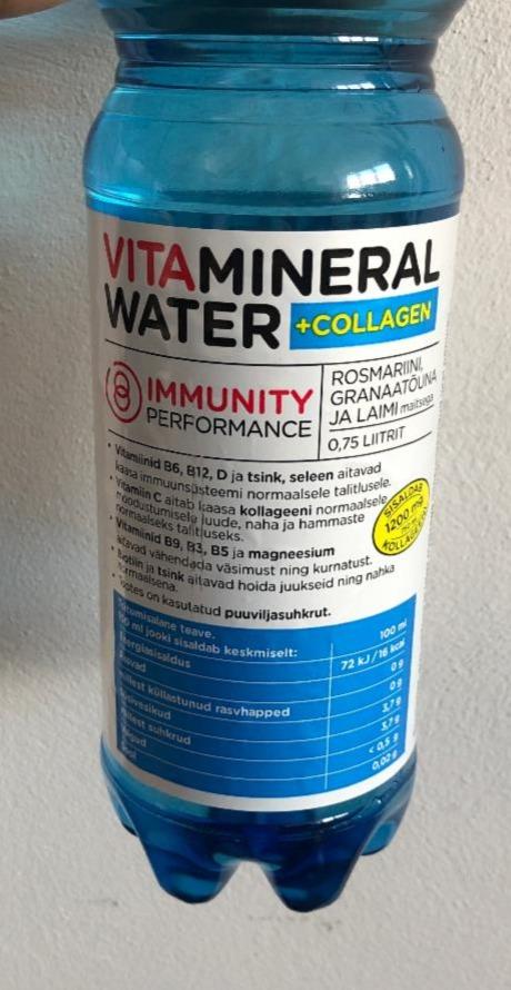 Fotografie - Vitamineral water immunity