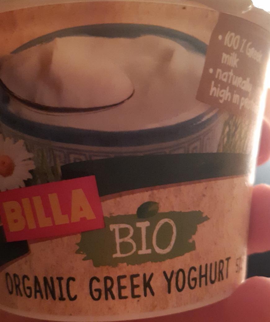 Fotografie - organic greek yoghurt Billa Bio