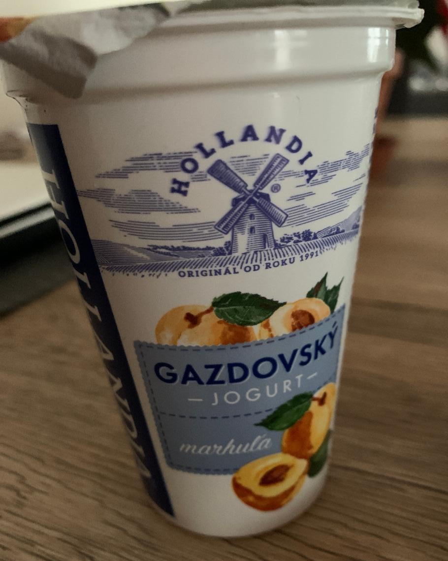 Fotografie - Gazdovský jogurt marhuľa Hollandia