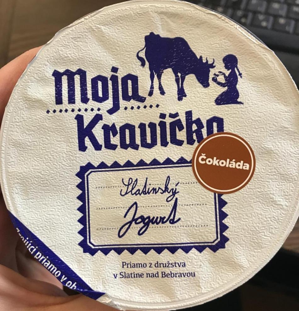 Fotografie - Slatinský jogurt čokoláda