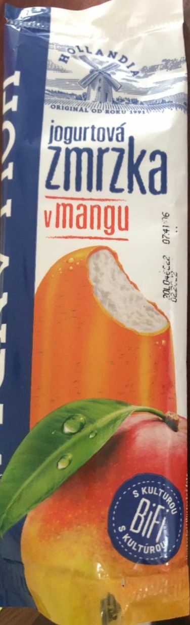 Fotografie - jogurtová zmrzka v mangu