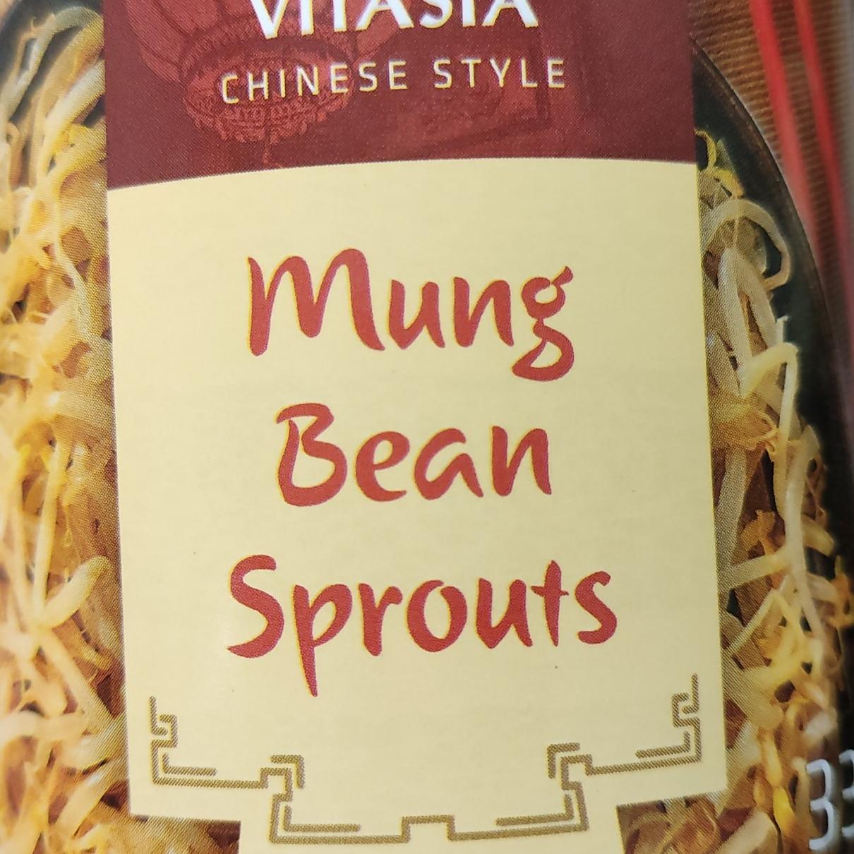 Fotografie - Mung Bean Sprouts Vitasia
