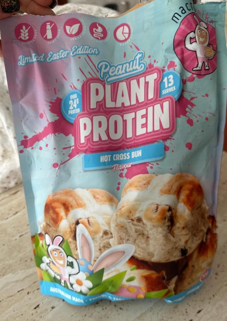 Fotografie - Peanut Plant protein Hot Cross Bun macromike