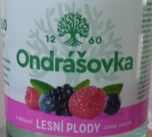 Fotografie - Ondrášovka lesné plody