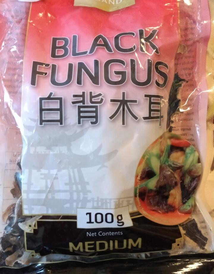 Fotografie - Sušená huba black fungus