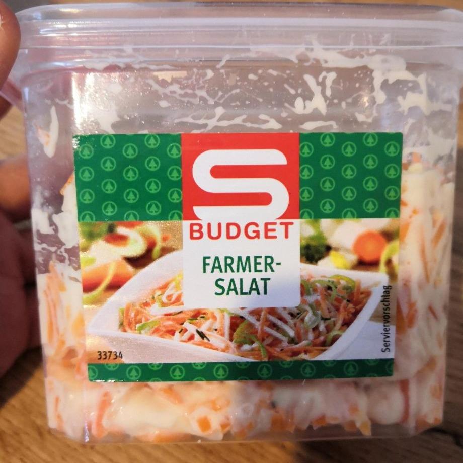Fotografie - Farmer salat S Budget