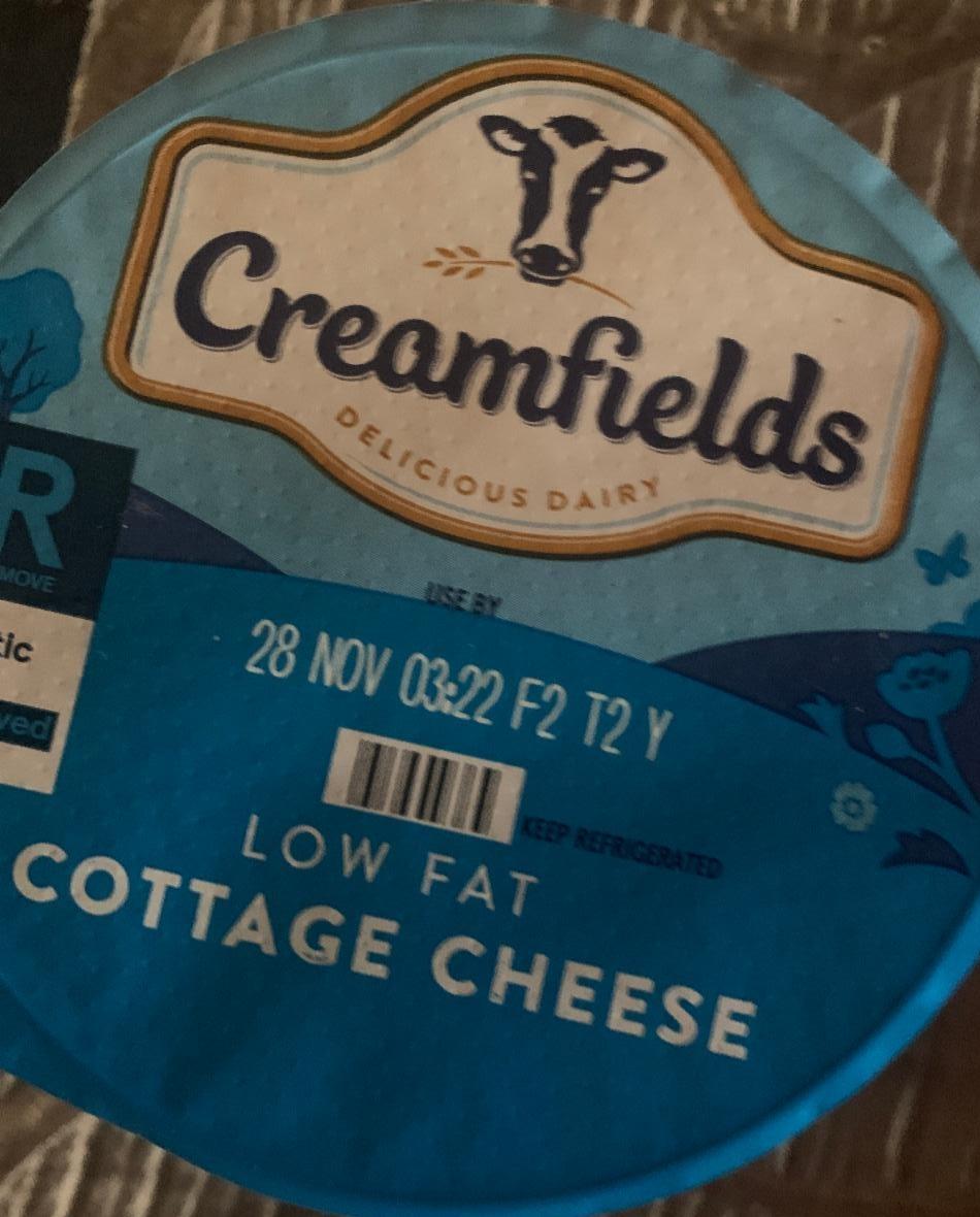 Fotografie - Creamfields cottage cheese low fat