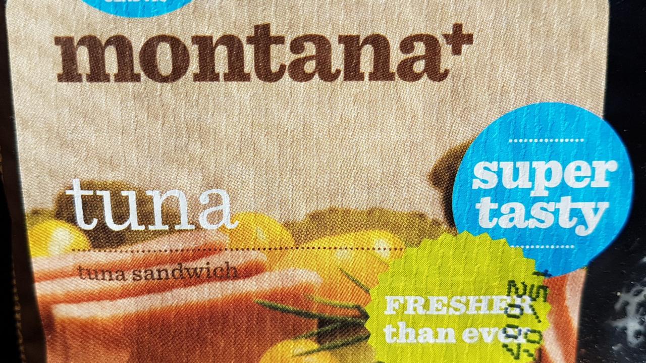Fotografie - Montana tuna sandwich