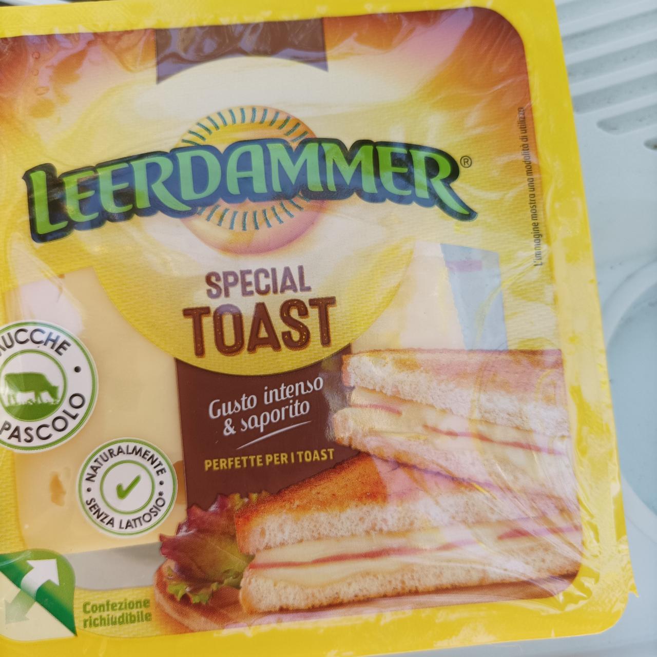 Fotografie - Leerdammer special toast