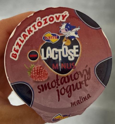 Fotografie - Lactose minus smotanový jogurt malina Tami