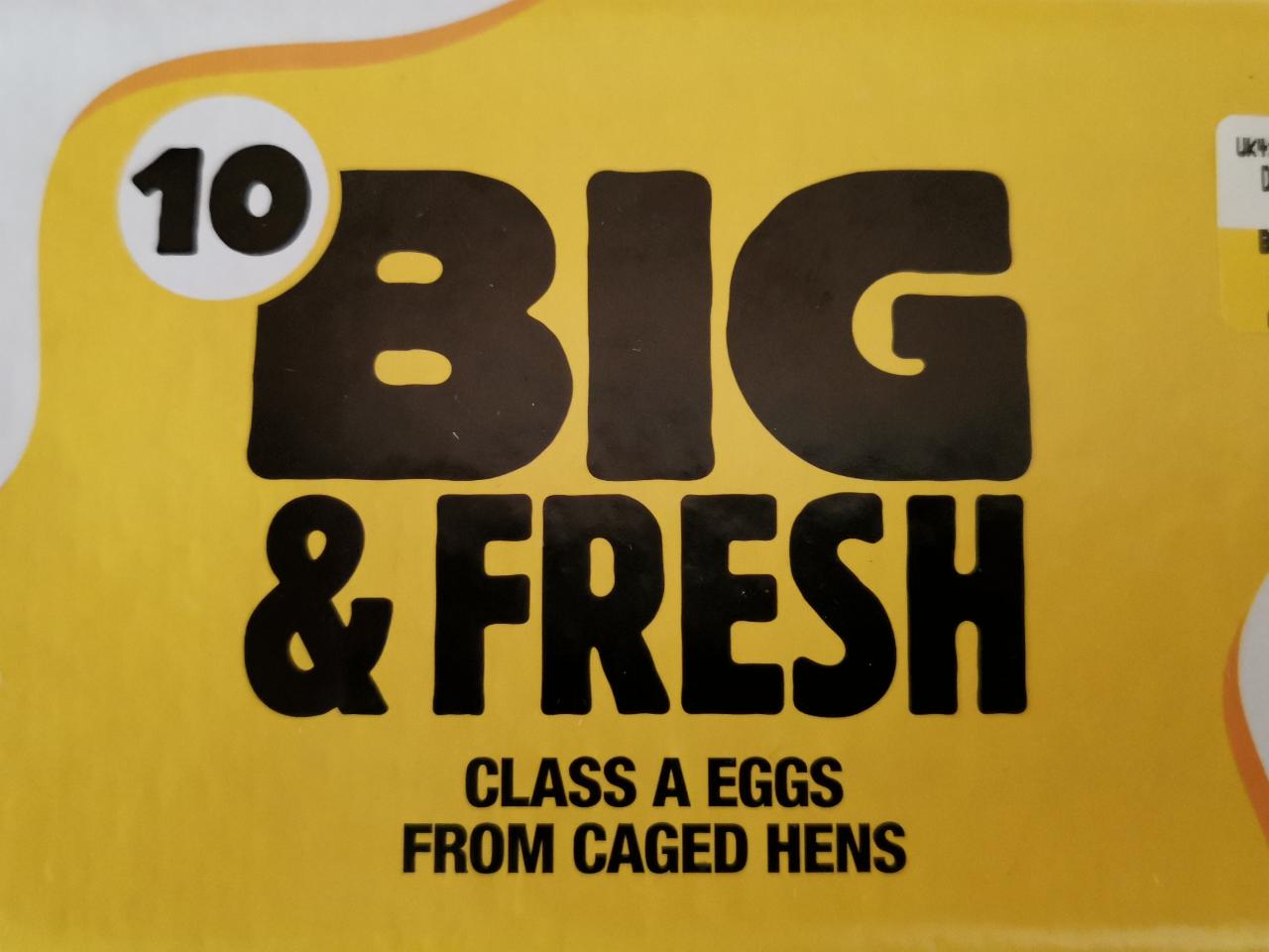 Fotografie - Eggs Big & Fresh