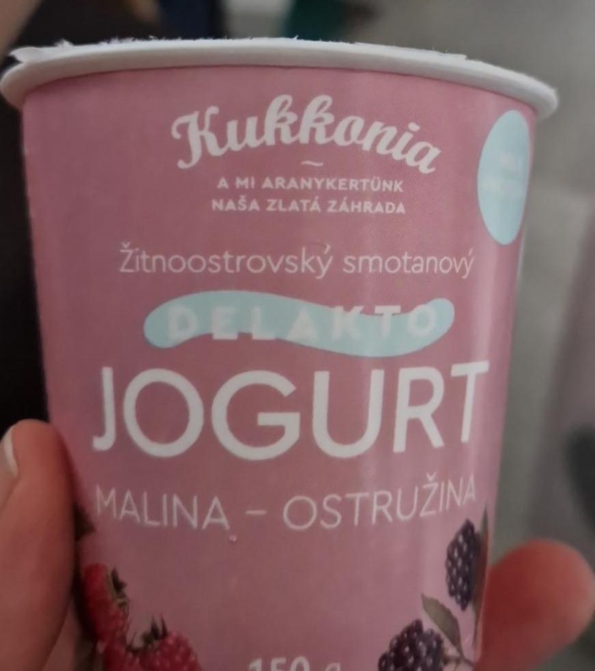 Fotografie - Žitnoostrovský smotanový Delakto Jogurt Malina - Ostružina Kukkonia
