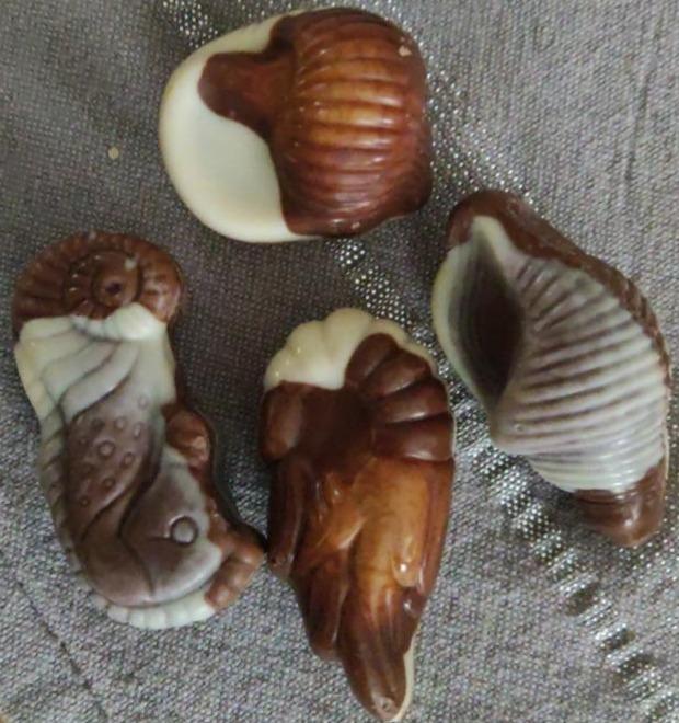 Fotografie - morské plody čokoláda