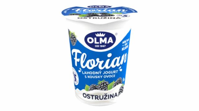 Fotografie - Florian lahodný jogurt s kousky ovoce Ostružina