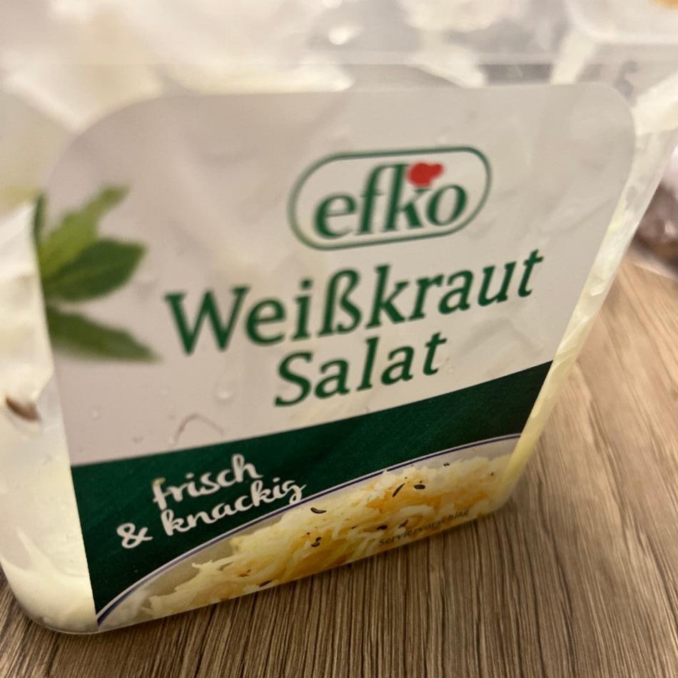 Fotografie - Weißkraut salat Efko
