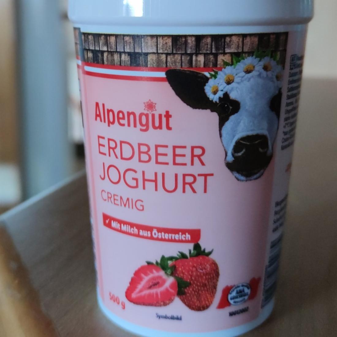 Fotografie - Erdbeer Joghurt cremig Alpengut