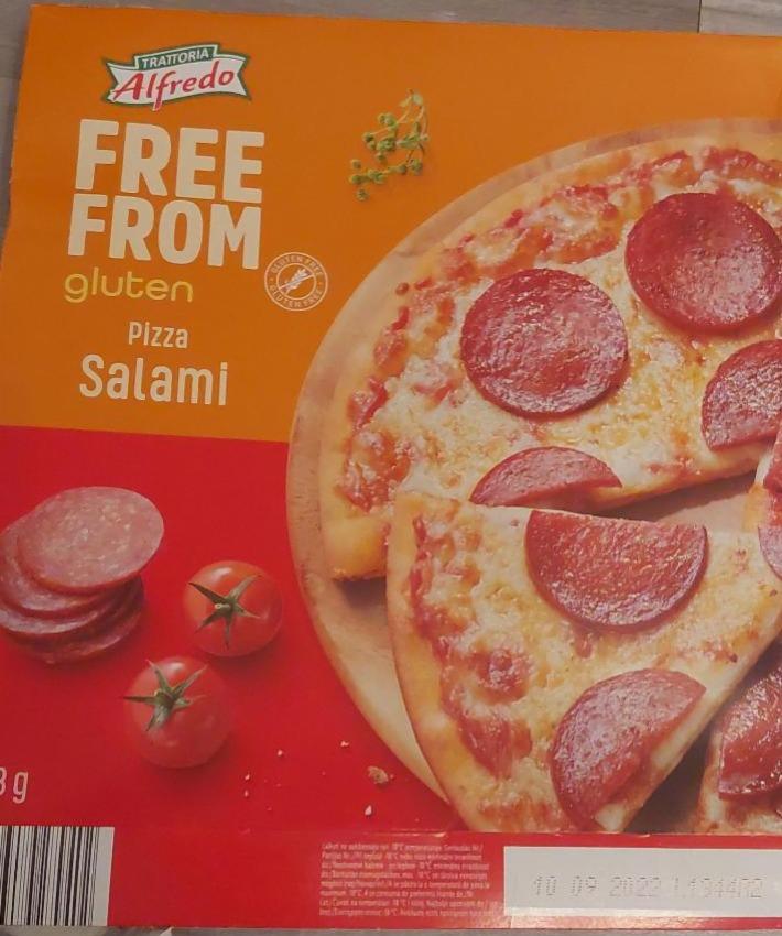 Fotografie - Pizza Salami Free From Gluten Trattoria Alfredo