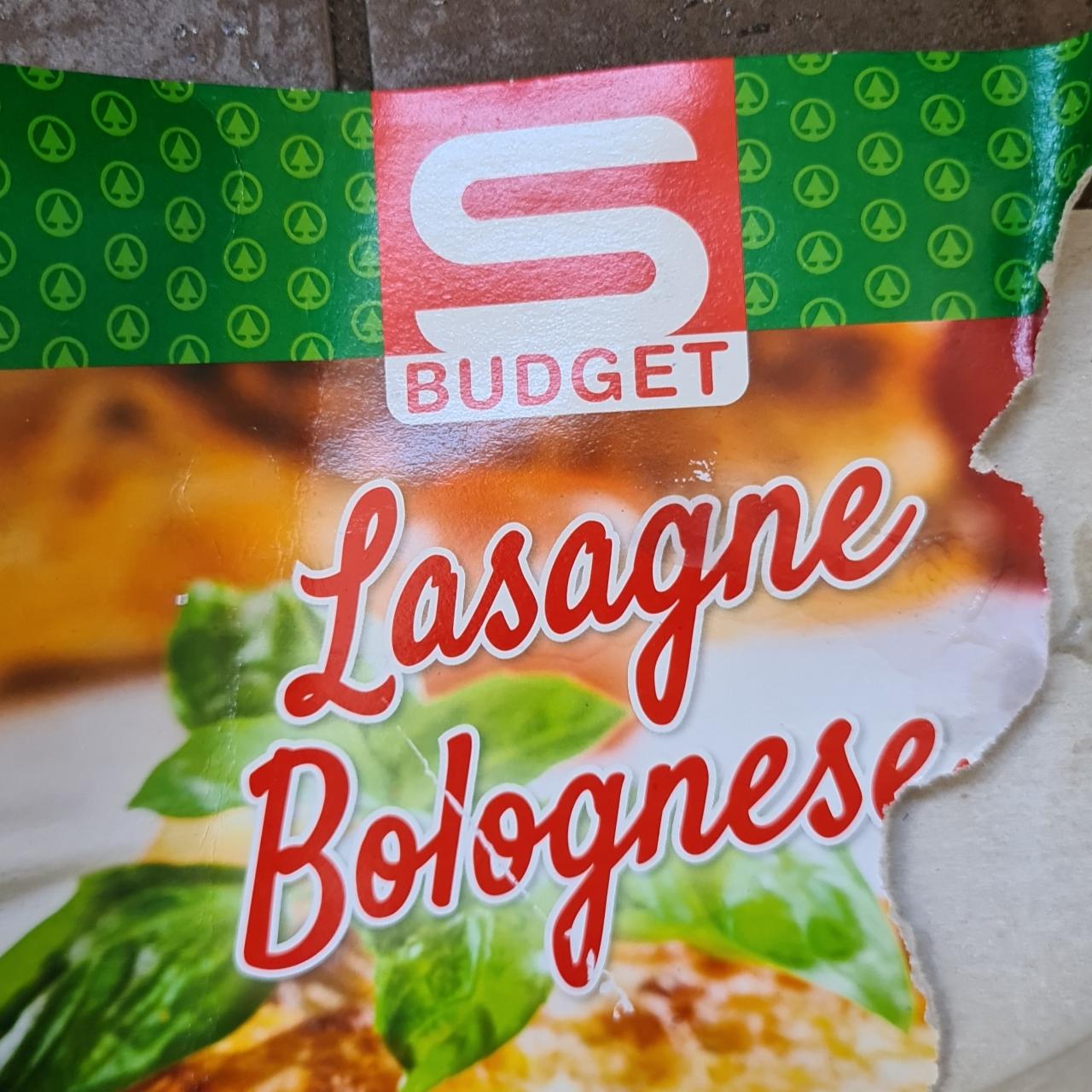 Fotografie - Lasagne Bolognese S Budget