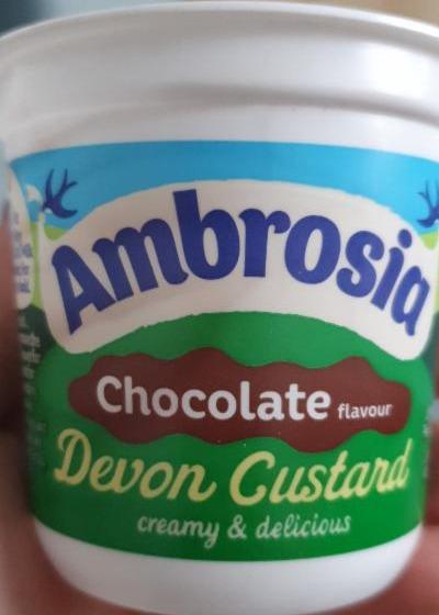 Fotografie - ambrosia chocolate custard