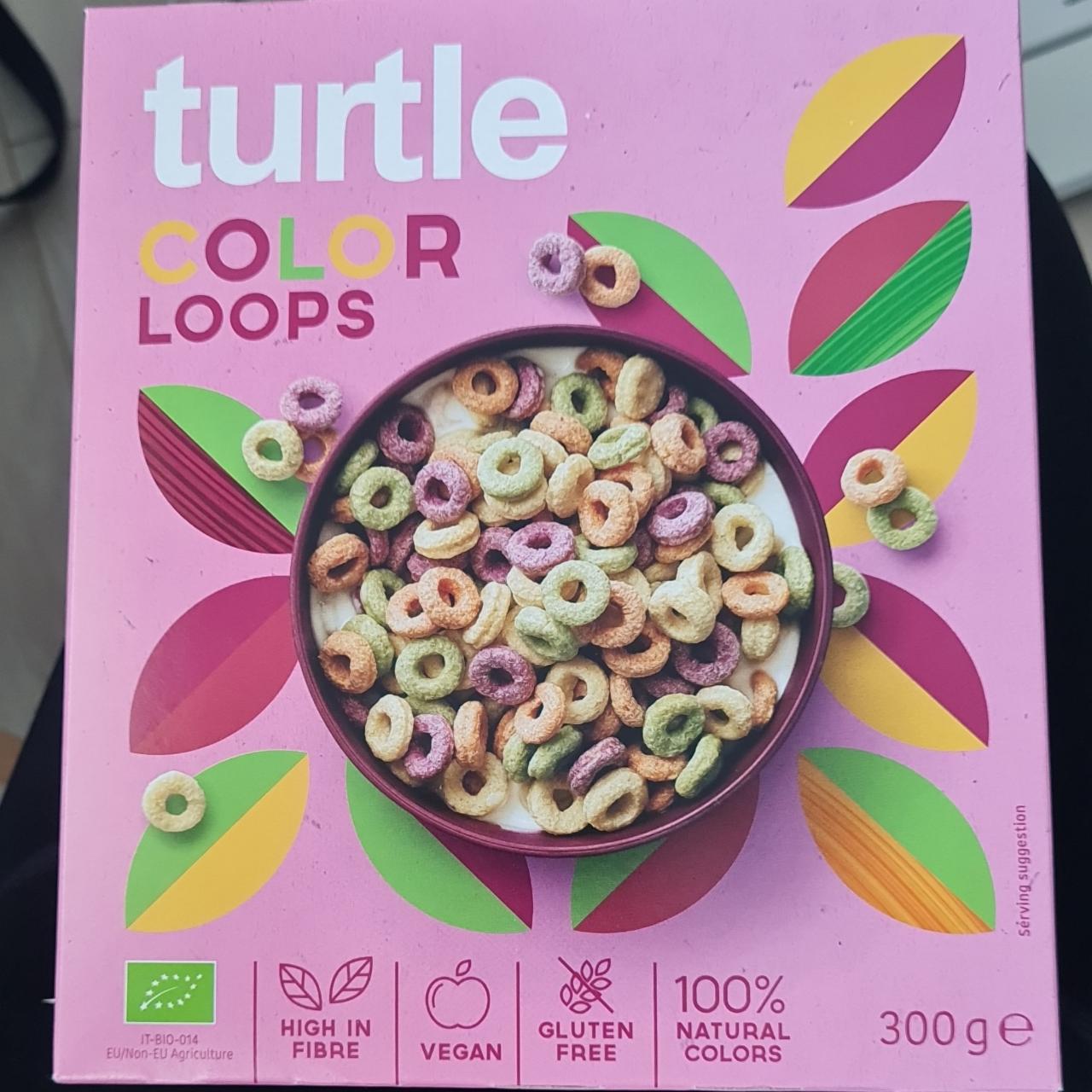 Fotografie - Color Loops Turtle