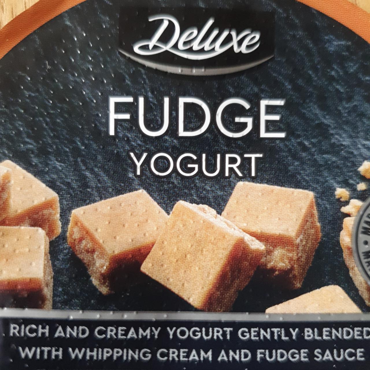 Fotografie - Fudge yogurt Deluxe