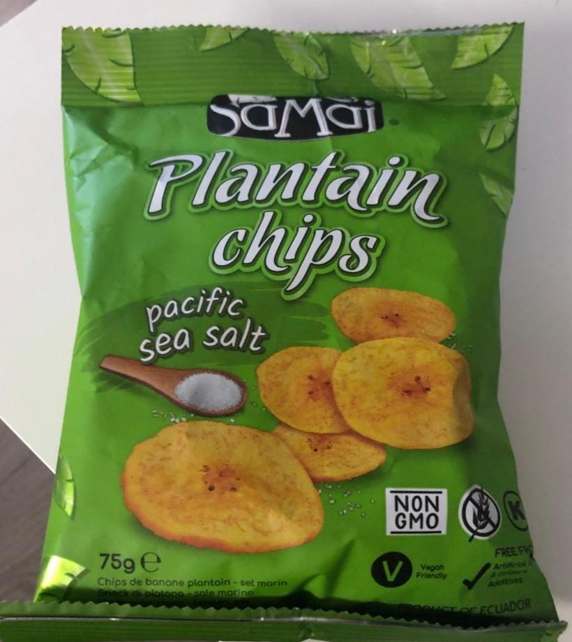 Fotografie - Plantain Chips Pacific sea salt SaMai