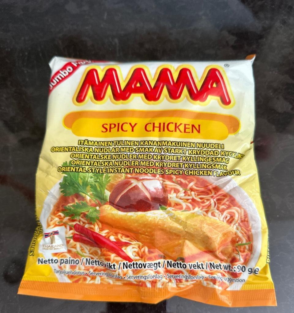 Fotografie - Spicy Chicken Mama