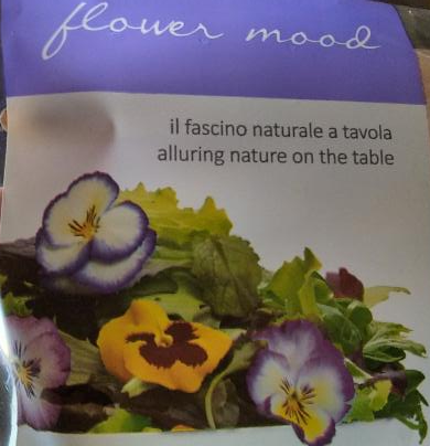 Fotografie - šalát z jedlých kvetov