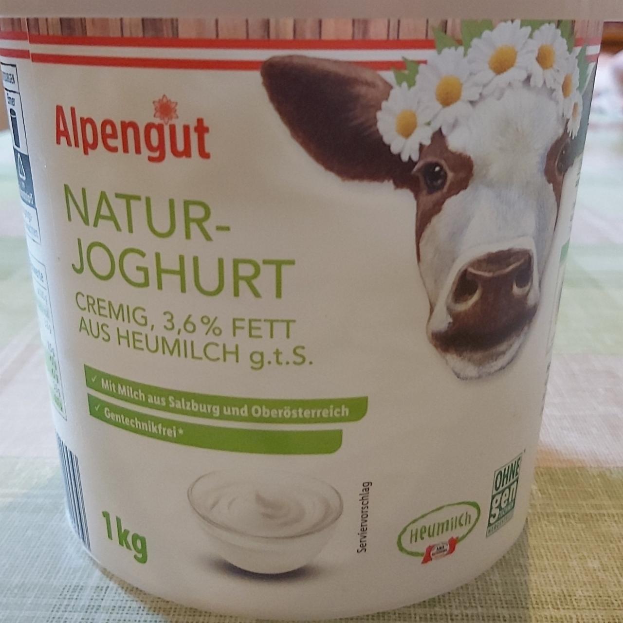 Fotografie - Natur-Joghurt 3,6 % Fett Alpengut