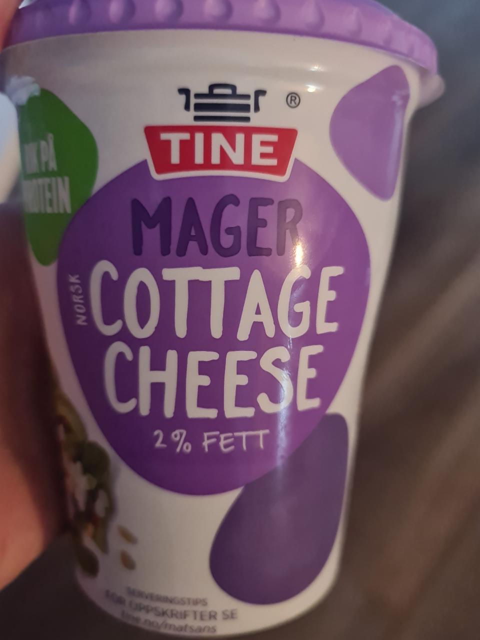 Fotografie - cottage cheese mager