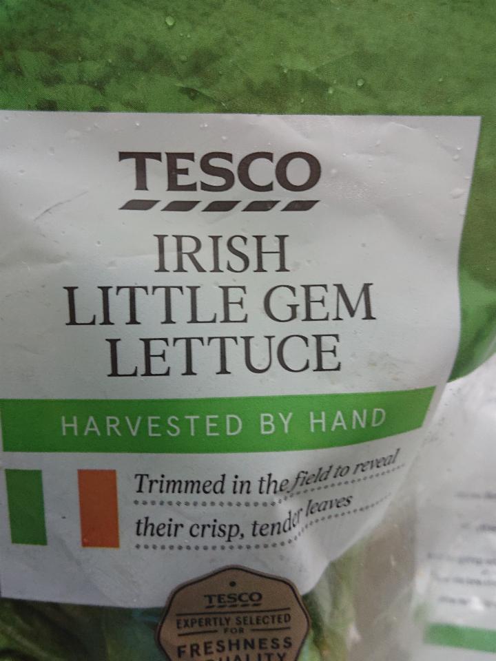 Fotografie - Tesco Irish Little Gem Lettuce
