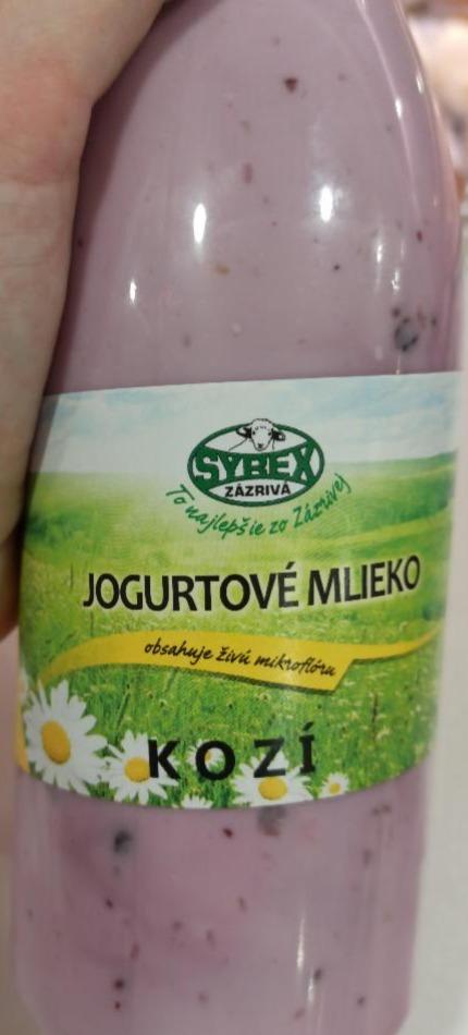 Fotografie - Jogurtové mlieko kozí borůvka Syrex Zázrivá