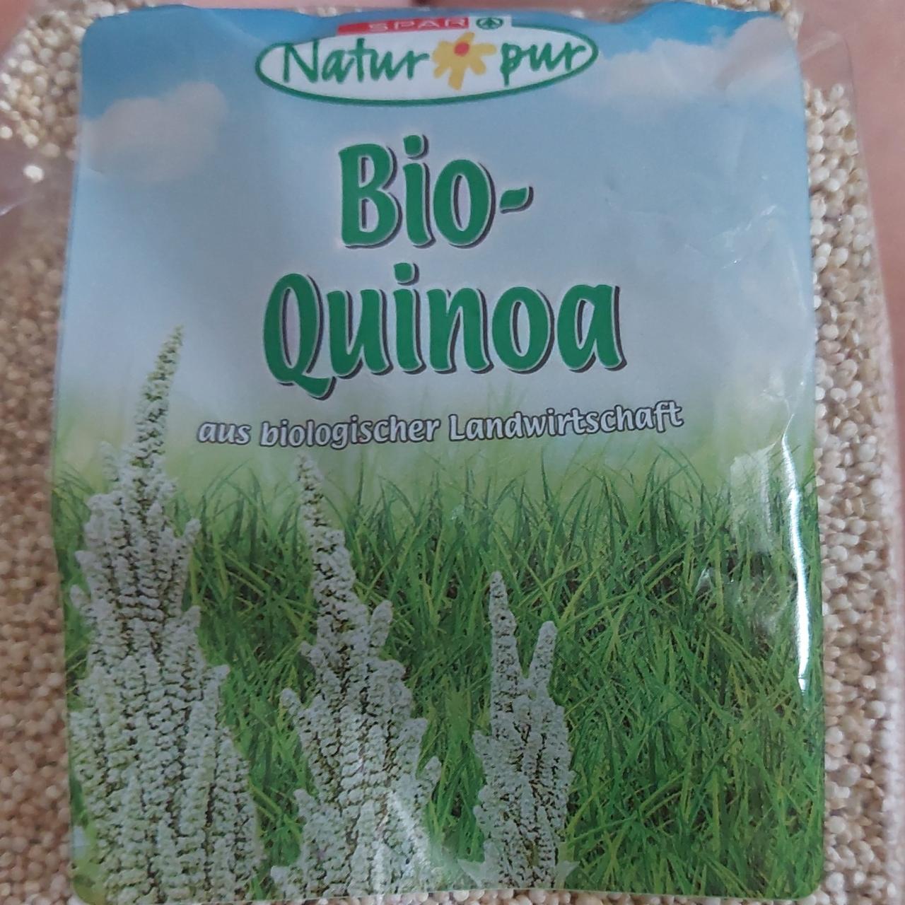 Fotografie - Bio-Quinoa Spar Natur pur