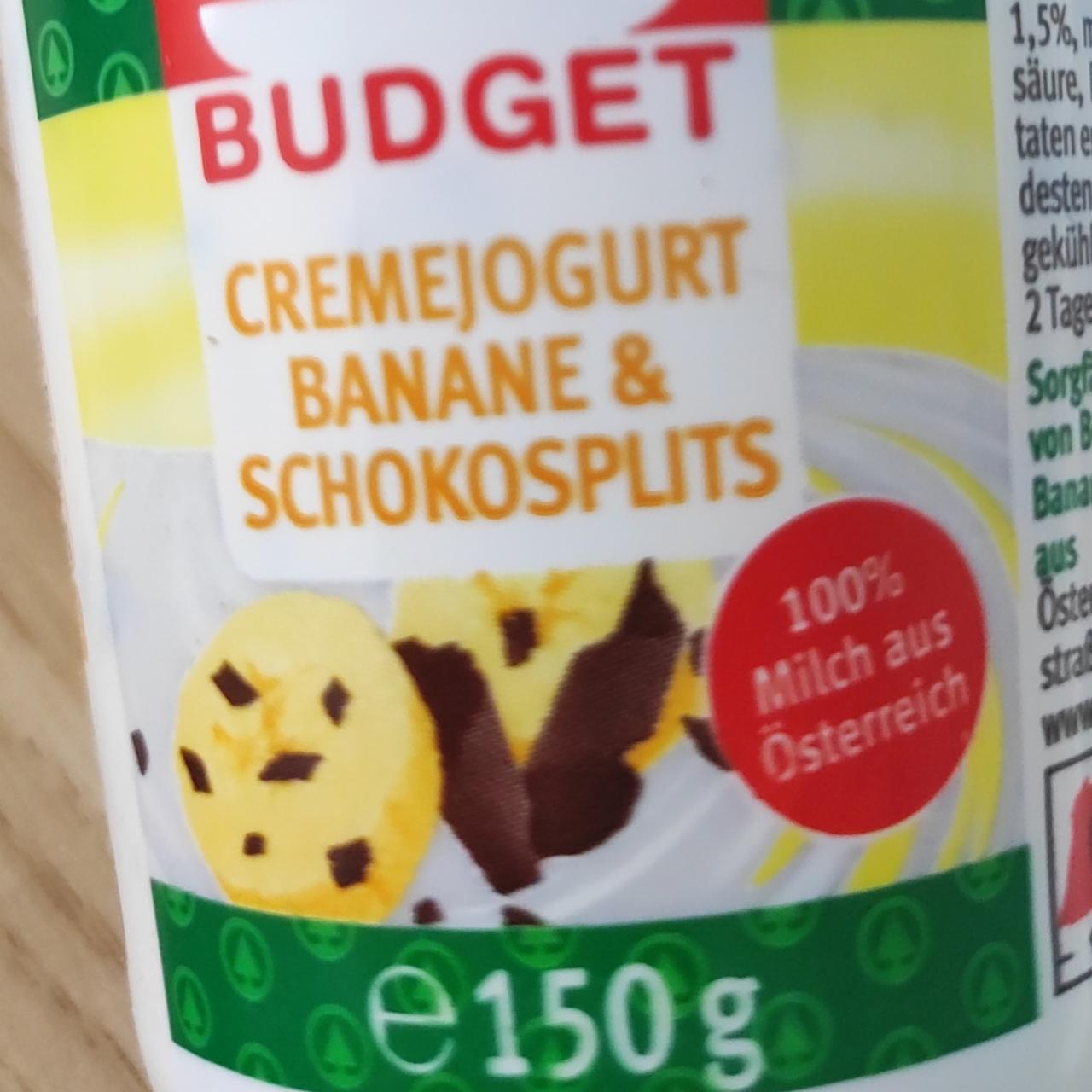Fotografie - Cremejogurt banane & schokosplits S Budget