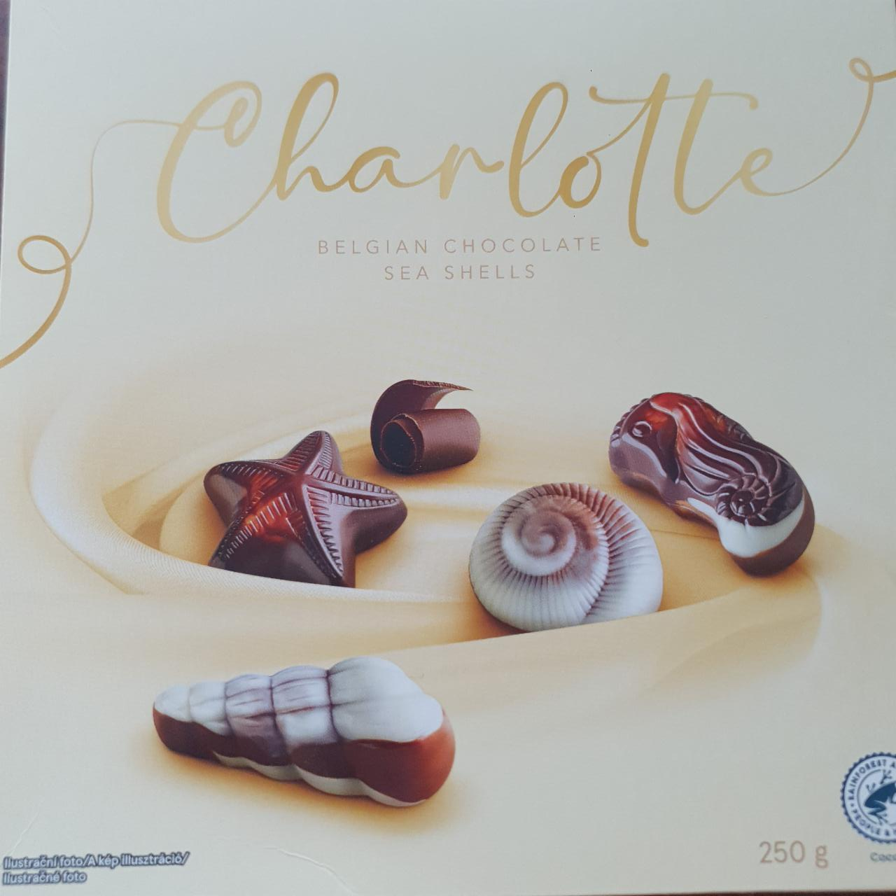Fotografie - Belgian chocolate sea shells Charlotte