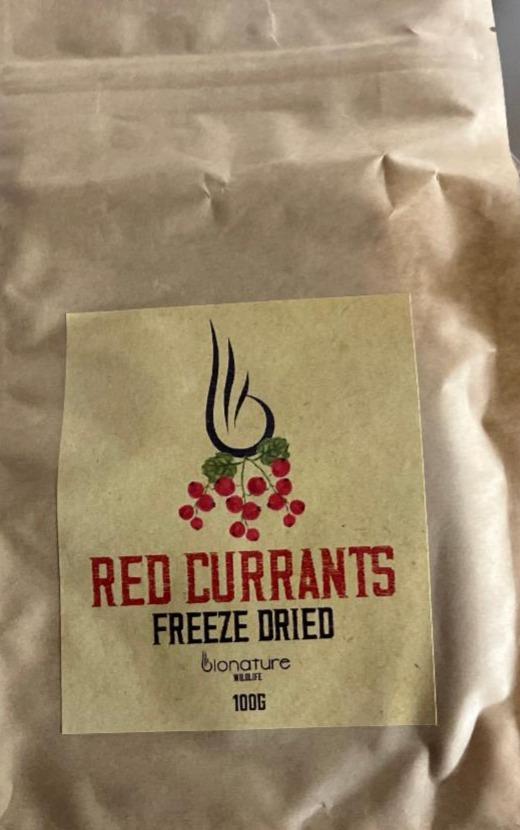Fotografie - Red Currants Freeze Dried bionature
